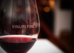 Vinuri fine